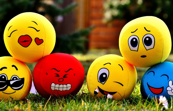 /Emotional%20Intelligence%20Hub%20–%20Emotional%20Fitness,%20Emotional%20Strength,%20Emotional%20Mastery